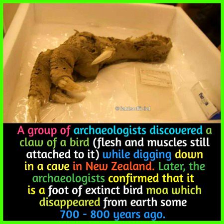 Interesting Posts image