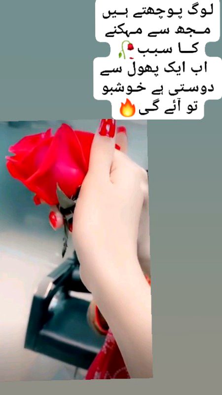 For u zebii😍