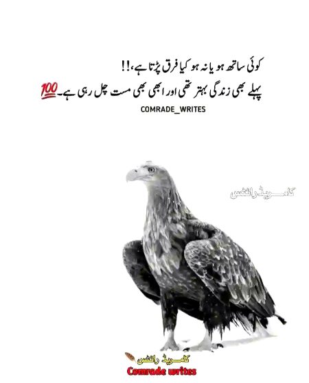 Attitude Poetry image