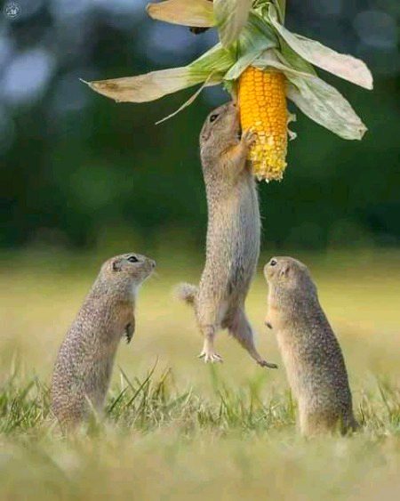 Beautiful Nature image