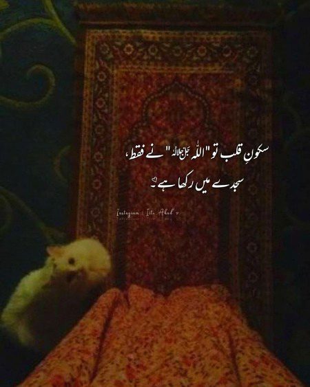 Islamic Quotes image