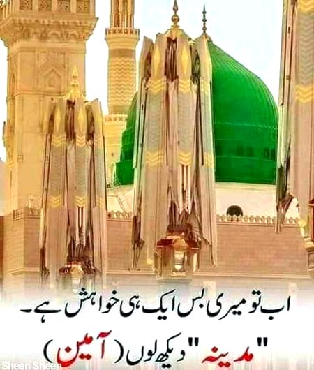 Beautiful Structures image