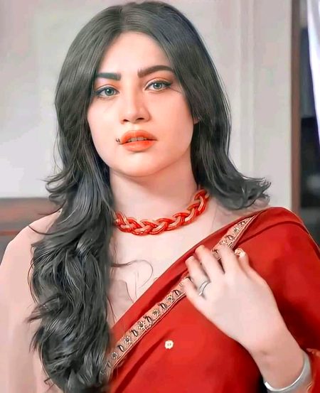 Pakistani Celebs image