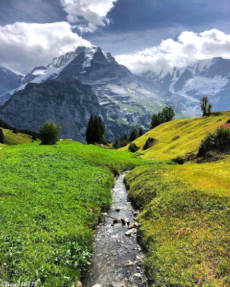 Beautiful Nature image