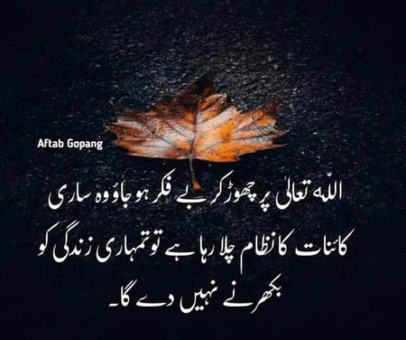Beshak