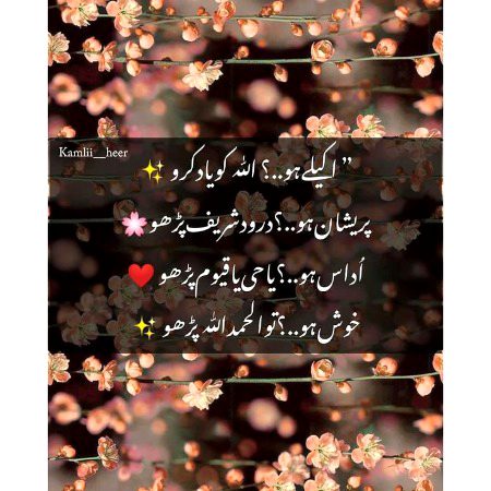 Islamic Quotes image