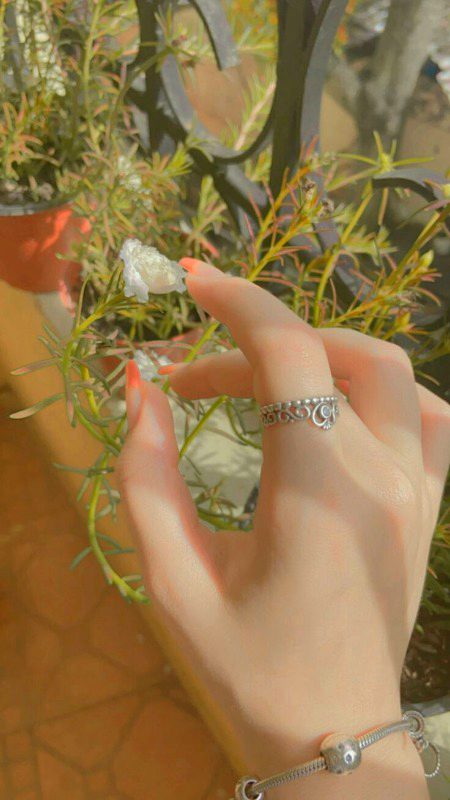 Beautiful Nature image