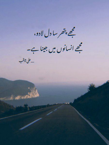Attitude Quotes image