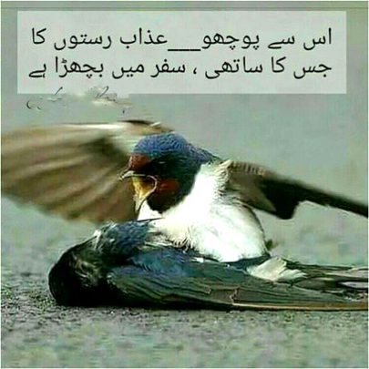 شدید سر درد🤕 اور کی یاد دونوں جان کو آئیں گے
🤕