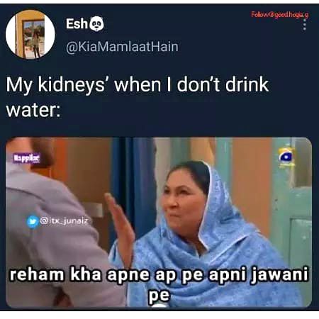 Memes & Satire image