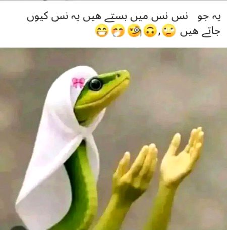 Memes & Satire image