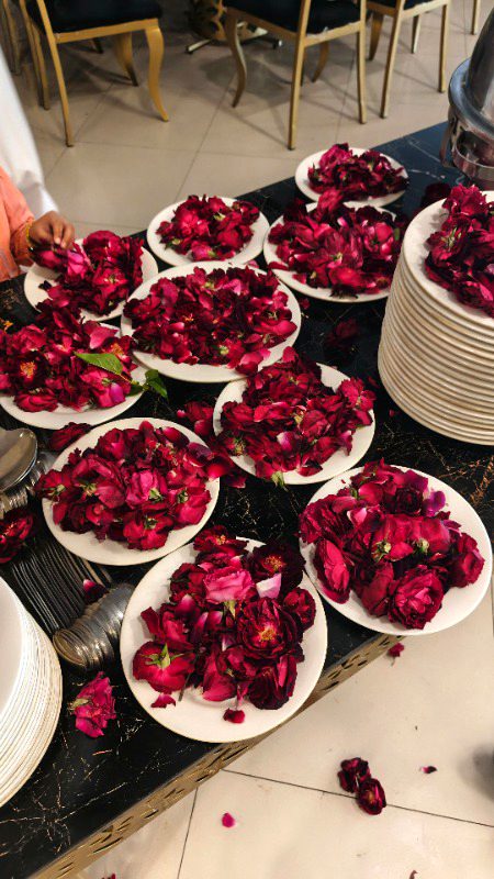 Rose 🌹 🌹🌹🌹🌹