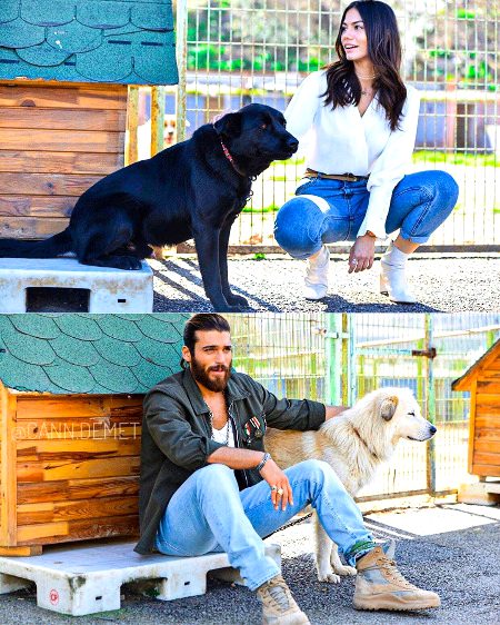 Turkish Celebs image