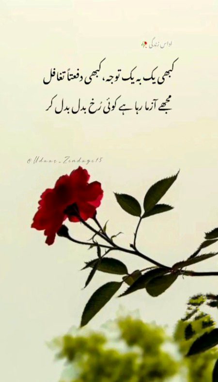 All lkd 💯🤞🙄