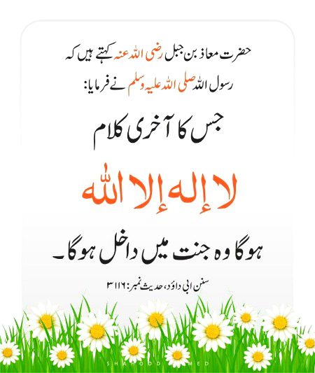 Islamic Quotes image