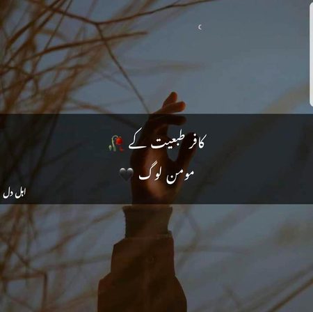 no caption
