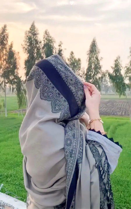 Beautiful Nature image