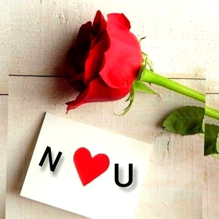 Beautiful Nature image