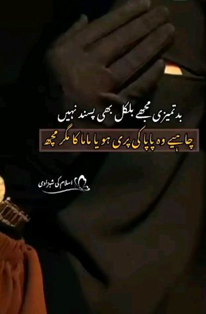 Attitude Quotes image