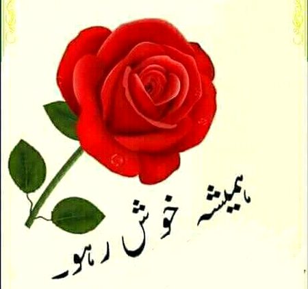 Hamshan hamshan