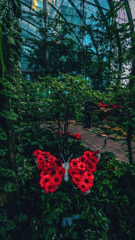 Beautiful Nature image