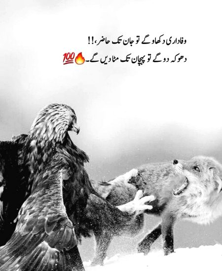 Attitude Poetry image