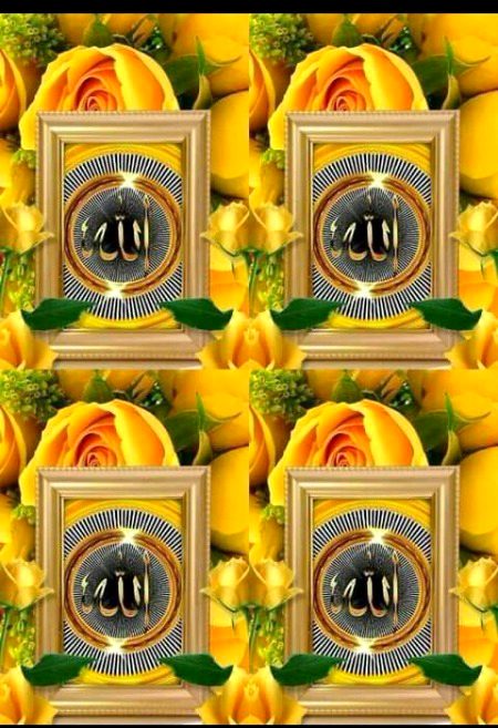 ISLAMIC PIC 🌹🌿🌹