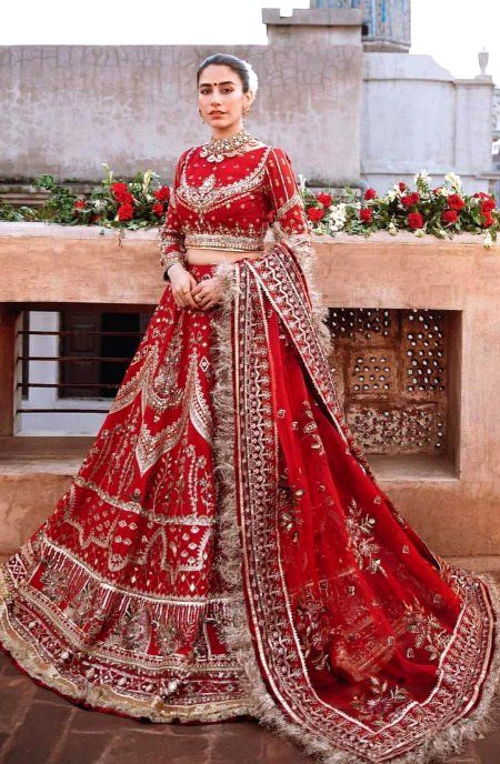 Pakistani Celebs image