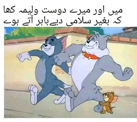 Memes & Satire image