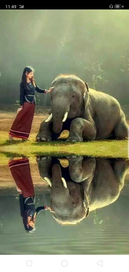 Beautiful Nature image