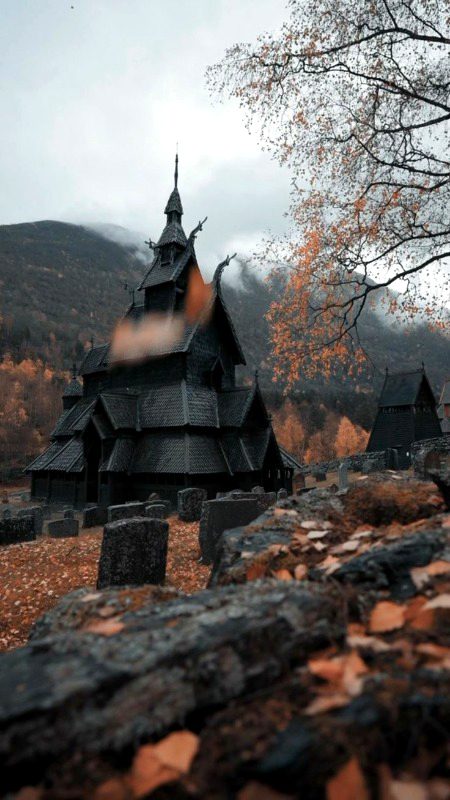 Beautiful Nature image