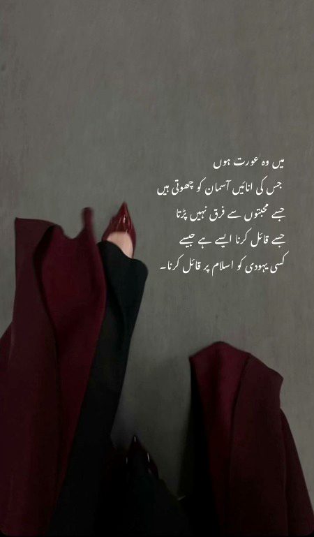 Attitude Quotes image