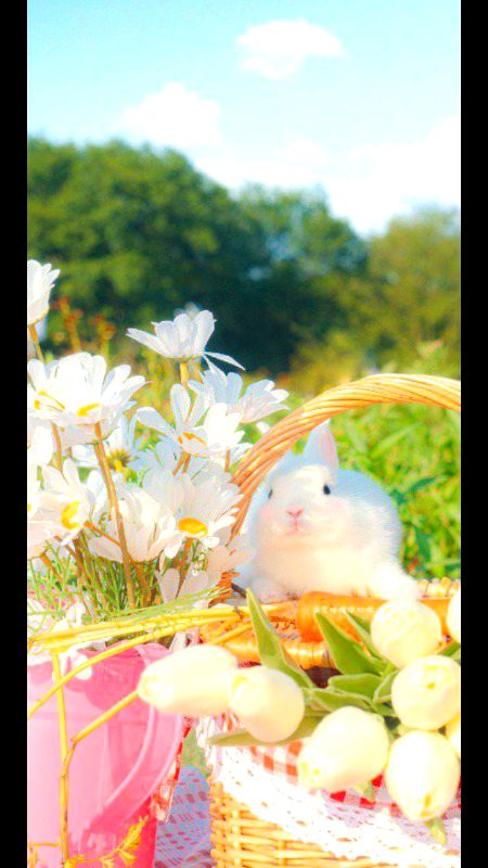 Beautiful Nature image