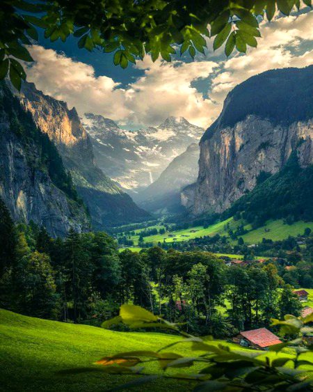 Beautiful Nature image