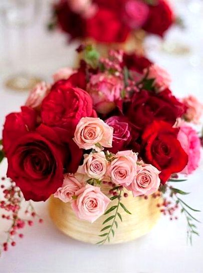 Beautiful Nature image