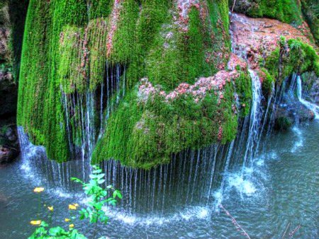 Beauty of nature ❣️