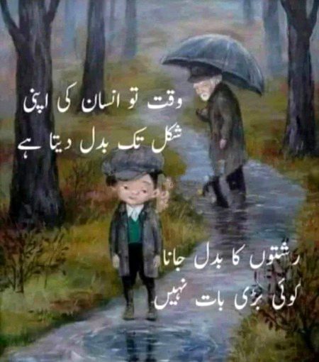 ❤️💜🖤❤️💜🖤❤️💜🖤