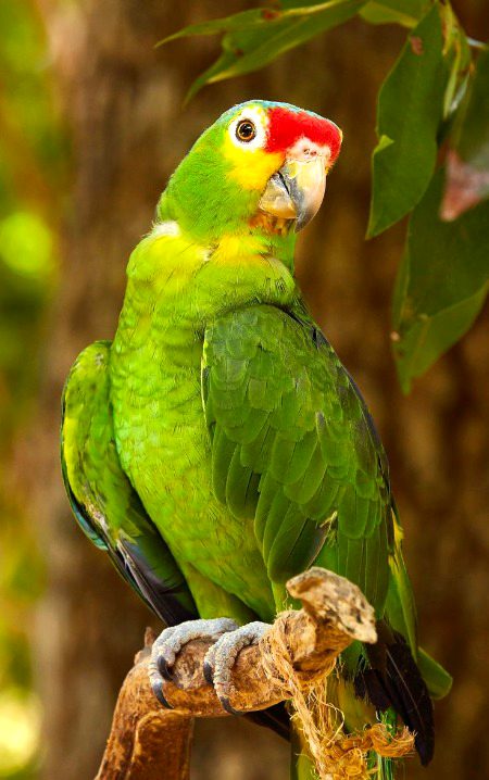 Beautiful Nature image