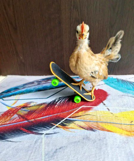 Beautiful Nature image