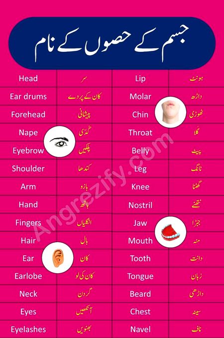 Tips for Students image