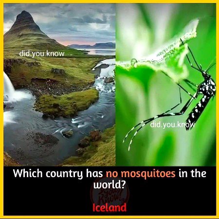 Knowledge Test image