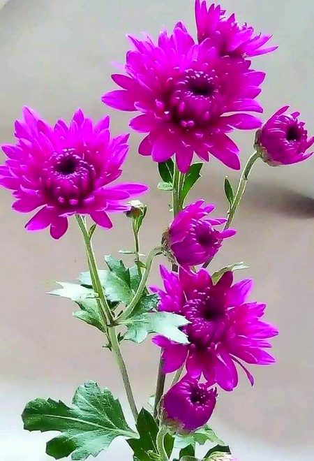 Love 😮