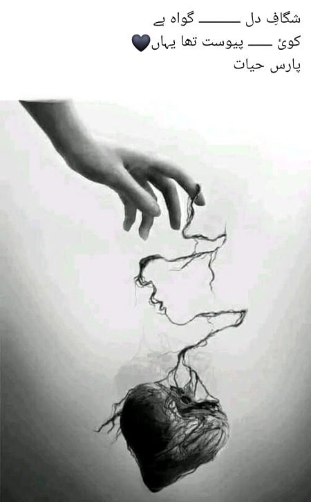 Sad Poetry image