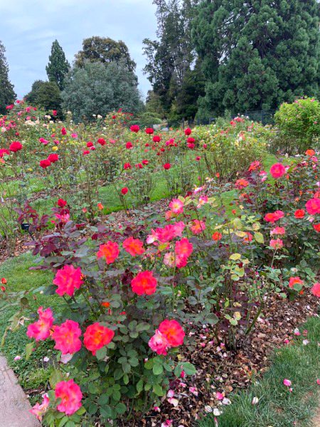 Beautiful Nature image