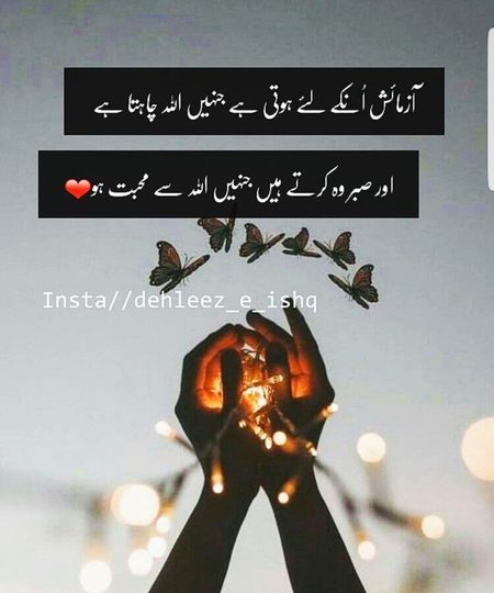No doubt🔥