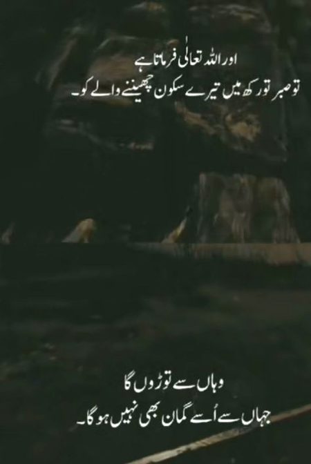 Islamic Quotes image