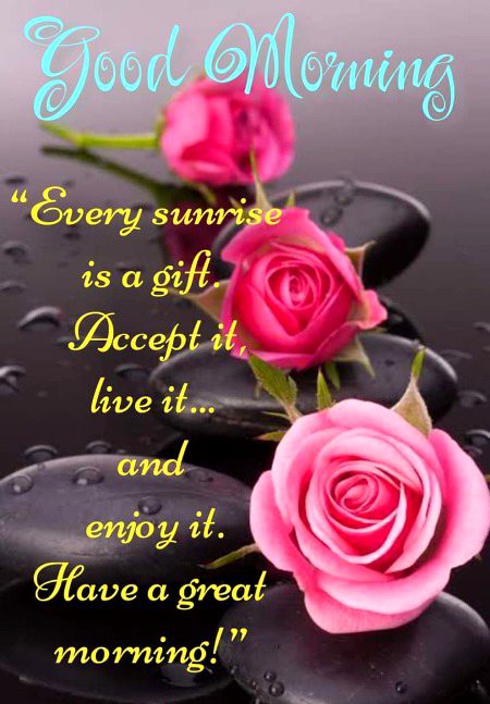 😍😍😍Hello friends kesay hai ap sab😍😍😍