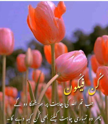 Islamic Quotes image