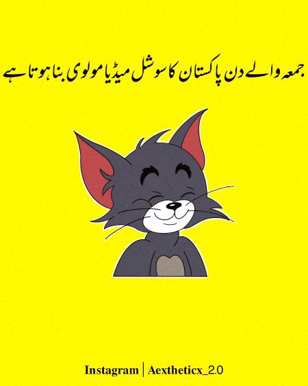 Memes & Satire image