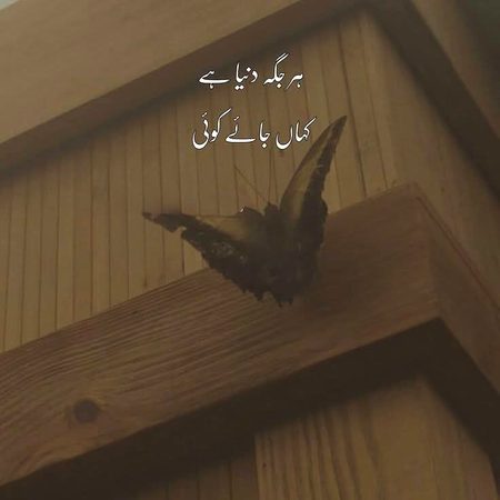 Memes & Satire image